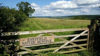 View from Eastfield gate